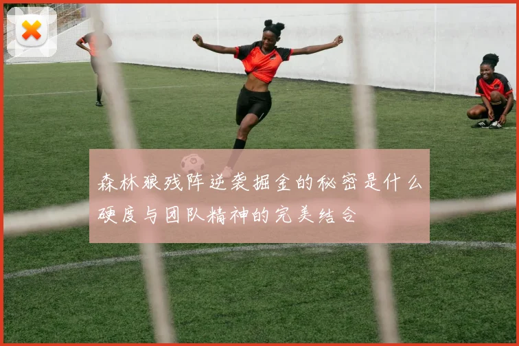 森林狼残阵逆袭掘金的秘密是什么硬度与团队精神的完美结合